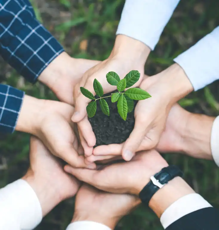 Sustainable business IT support